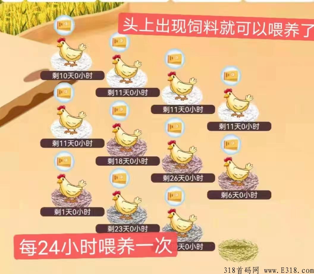 阿尼农场首码最牛最稳定项目，不求爆赚求稳赚