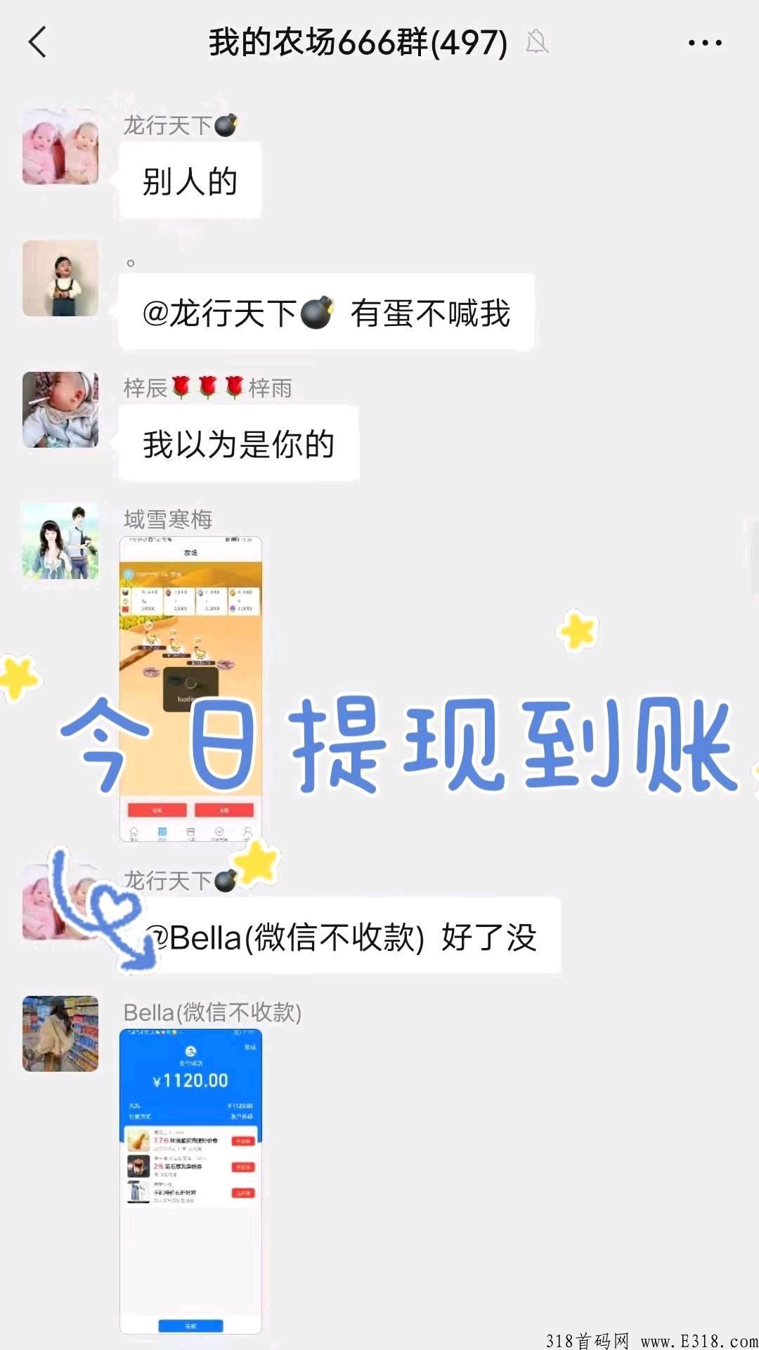 阿尼农场，长期稳定项目_首码项目网