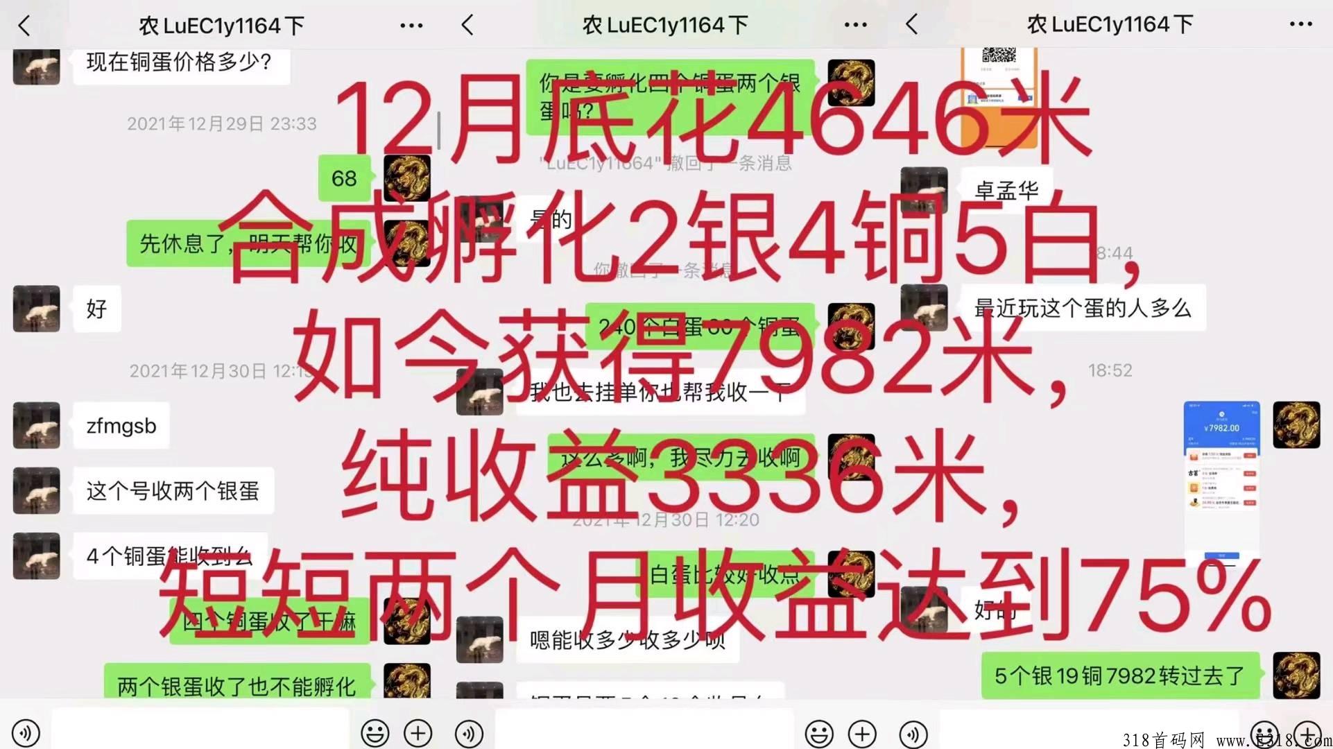 阿尼农场，长期稳定项目_首码项目网