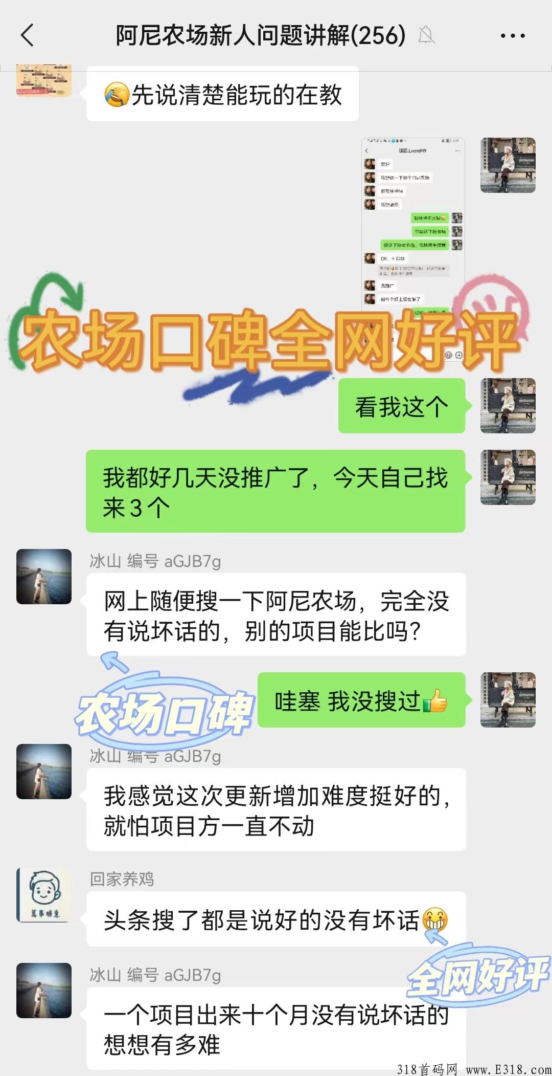 阿尼农场，长期稳定项目_首码项目网